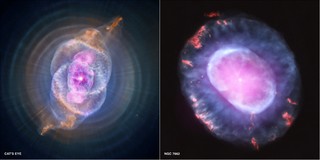 El cazador de mariposas 